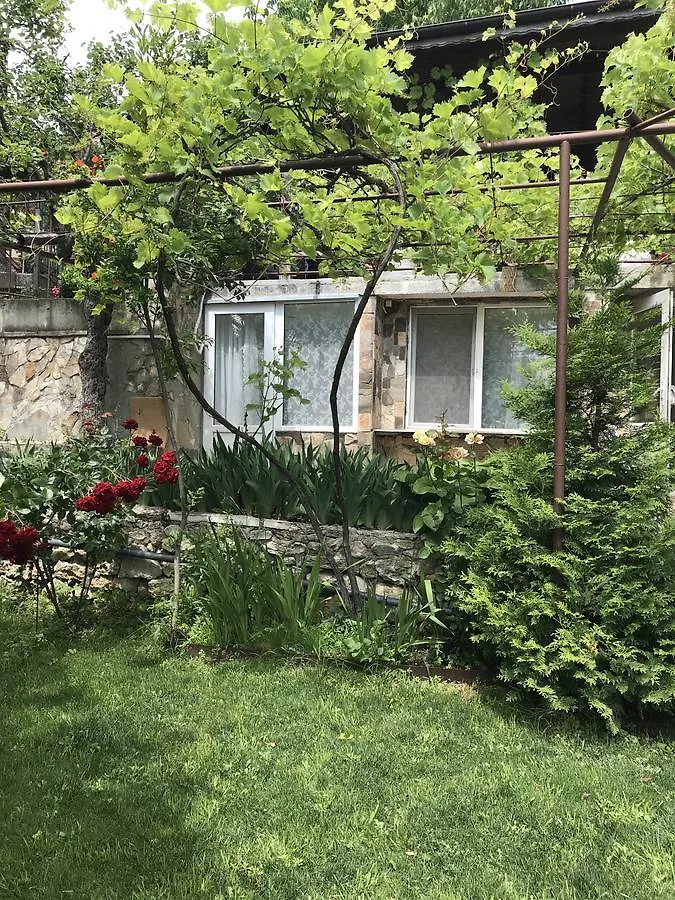 Dacha Apartment Altın Kumlar